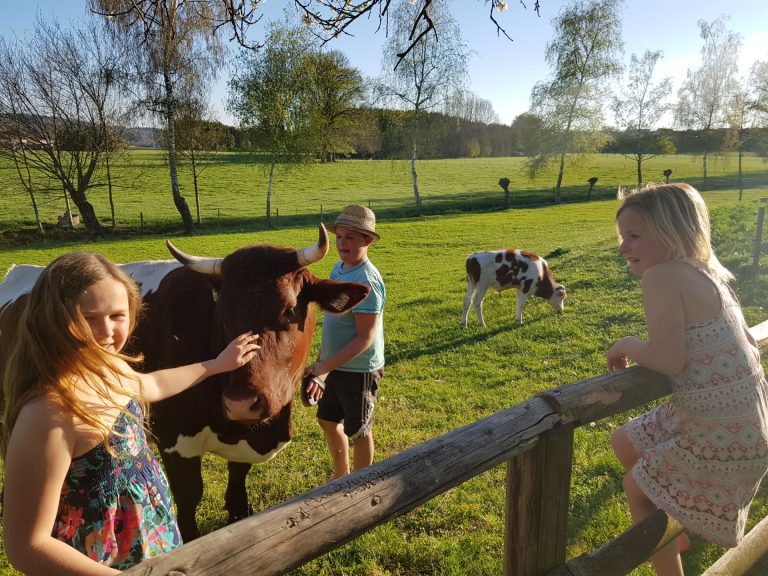 Kinder und Kuh