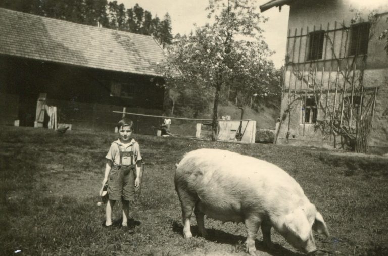 Opa Franz als Kind mit einem Schwein im Hof