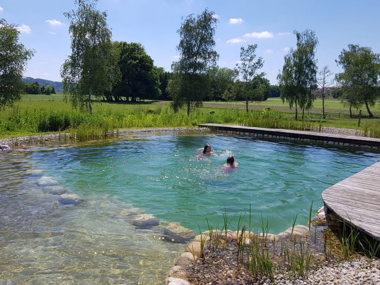 Badefreuden im Schwimmteich in Holzhausen
